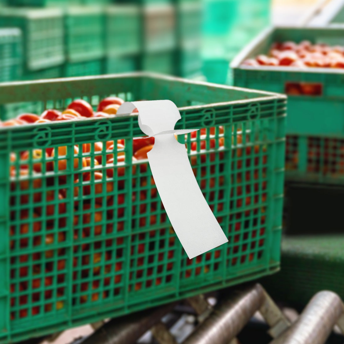 Voedingsmiddelenindustrie